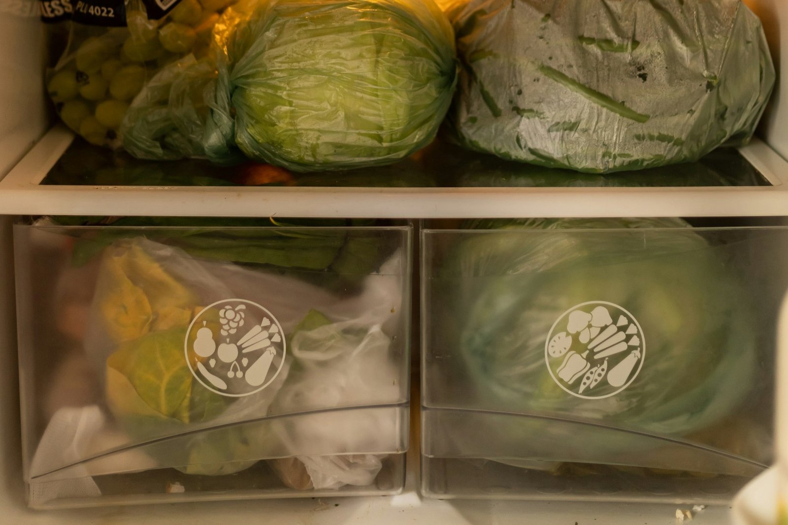 Offenes Gemüsefach im Kühlschrank mit verschiedenen Gemüsesorten